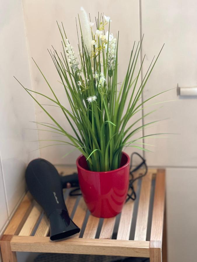 Apartment - Ausstattung - Kostenlos Netflix/wifi/parken